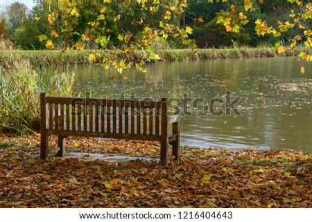 lakeside wooden seat in Fall