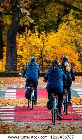 a group of cyclists in the fall cross the roadway along a red special crossing crosswalk pedestrian