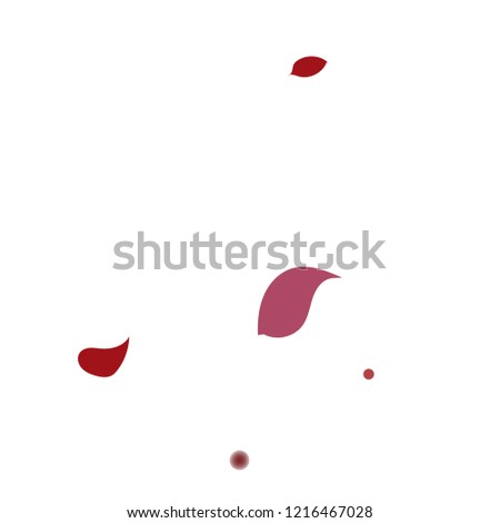 Abstract flower petals confetti background. Falling red petals decoration vector. Romantic valentines wedding celebration design for invitation card. Natural floral flying dynamic illustration design.