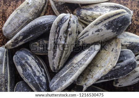 Sunflower seeds with salt. macrophotography
