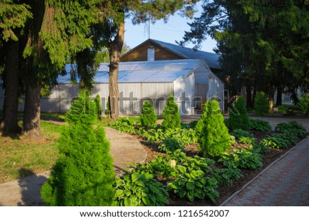 Photo of the beautiful backyard among trees