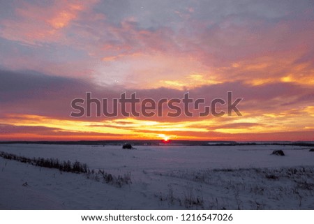 beautiful sunrise on a frosty winter field. natural landscape. Background for your layout with free space for text.