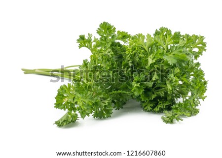 Fresh parsley green leaves (Petroselinum crispum) isolated on white background Royalty-Free Stock Photo #1216607860