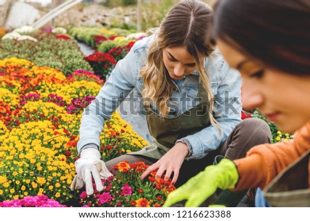 Young florist taking care of flowers
