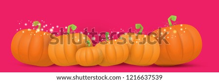 autumn vector orange pumpkins horizontal banner design template for farm market banners and thanksgiving day backgrounds. vector Pile of orange pumpkins frame or border on pink background