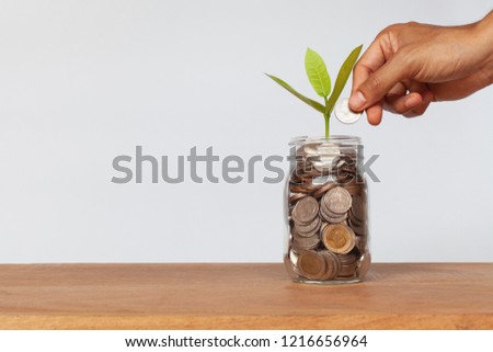 Hand putting money coins to glass bottle and growth of plant on wooden table with white background. Money stack for business planning investment. Investment and saving concept Royalty-Free Stock Photo #1216656964