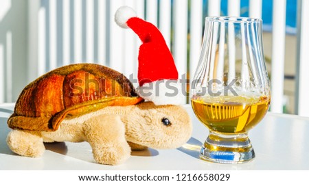 Turtle with single malt whiskey glass, symbol of Christmas holiday, Xmas set decoration