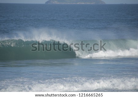 Brazilian Nice Waves
