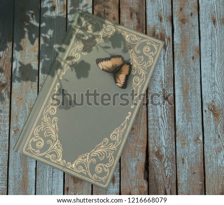 
Book and butterfly. Flower shadow on the table. Sunny day. Moscow. Russia