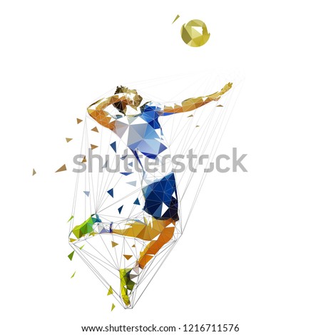 Volleyball player, low polygonal vector illustration. Beach volleyball, team player