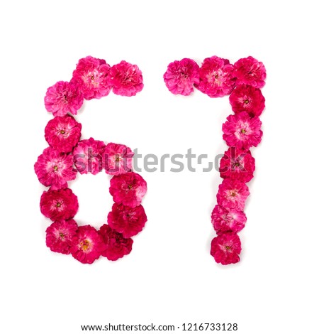 number 67 from flowers of a red and pink rose on a white background. Typographical element for design. Flower numbers, date, isolate, isolated