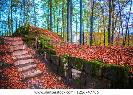 Old wall ruins in the autumn