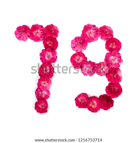 number 79 from flowers of a red and pink rose on a white background. Typographical element for design. Flower numbers, date, isolate, isolated