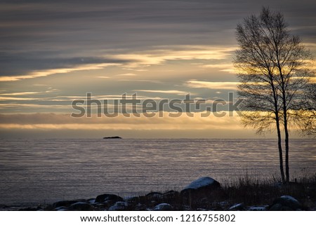 Peaceful twin tree and rock in front of sea and beautiful sky in golden hour. Calm relaxing and energizing.