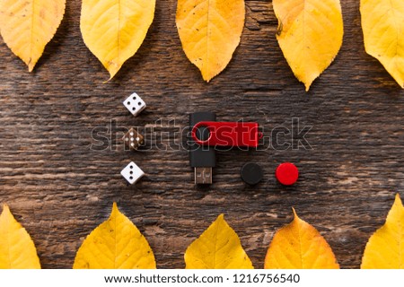 USB memory stick in black wooden table with leaf. 