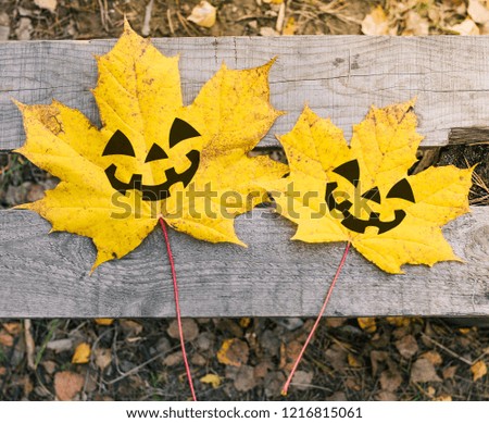 Yellow leaf maple depicting a scary holiday character Halloween. Background wooden bench