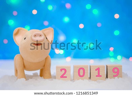 Christmas picture with a cute pig and 2019 new year on a magical blue background with lights