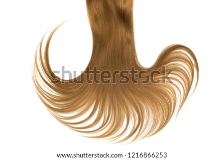Lush brown hair isolated on white background