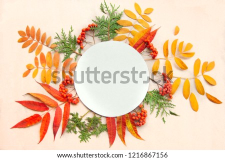 Autumn round frame with leaves and berries
