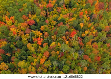 Porcupine Mountains Fall Color Aerial 
