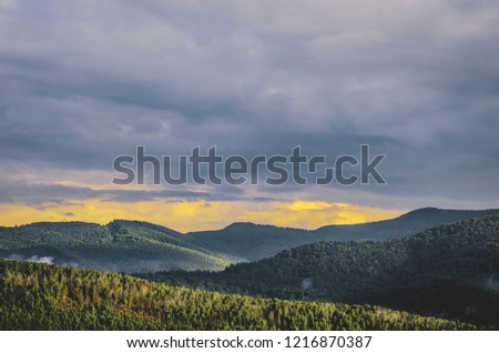 charming mountain landscape. the green slopes of the mountains are covered with spruce and pine trees, the sky with small clouds, the beginning of the evening in the mountains,  cinematographic filter