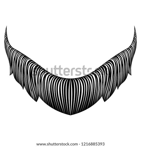 Isolated detailed beard image. Vector illustration design