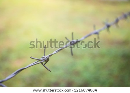 Barbed wire close up with nature blurred background.