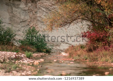 autumn leaves river Crimea rock