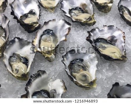 Fresh Australian oysters on ice Royalty-Free Stock Photo #1216946893