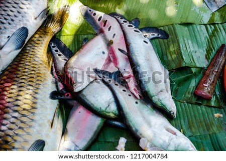 fresh fish on the market, beautiful photo digital picture