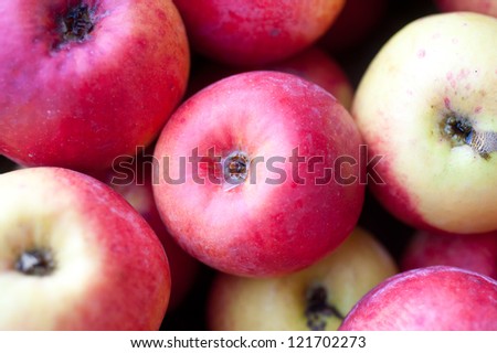 fresh red apples