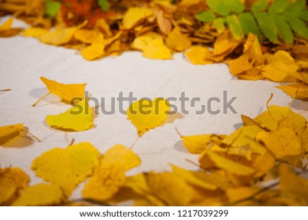Autumn leaves, autumn background.
