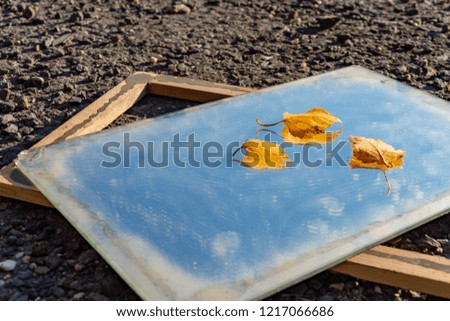 Autumn leaves lying on glass from an old picture frame on gravel outdoors in a conceptual image