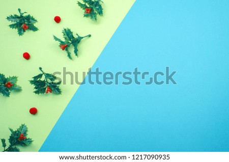 Creative and minimal Christmas layout. Mistletoe on green and blue background whit copy space. Flat lay top view. 