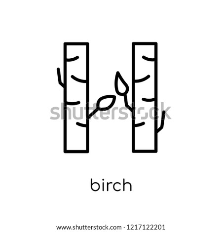 Birch icon. Trendy modern flat linear vector Birch icon on white background from thin line nature collection, editable outline stroke vector illustration