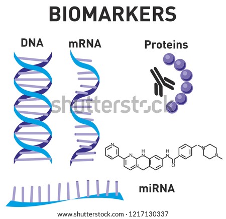 Nanomedicine Set. Nanoscience, nanotechnology. Biomarkers. DNA, mRNA, miRNA, Proteins image. Structural chemical formula and molecule model. Design for science. Vector illustration Royalty-Free Stock Photo #1217130337