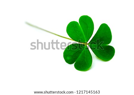 Green clover leaf isolated on white background. with three-leaved shamrocks. St. Patrick's day holiday symbol. Royalty-Free Stock Photo #1217145163