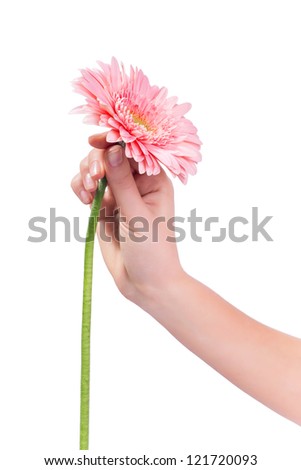 Image of a beautiful pink flower