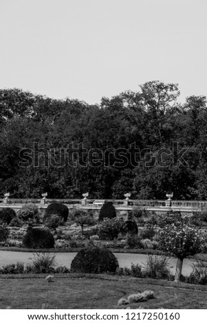 Black and white picture of french classical park with flowerbeds at the Chenonceau Chateau