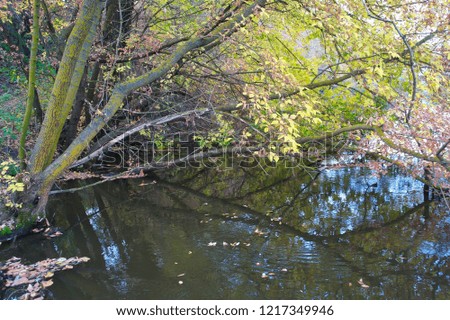 View on autumn landscape of river and trees in sunny day. Rural landscape.