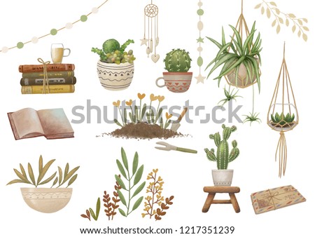 Plants and home decoration clip art, clipping path included for quick isolation.