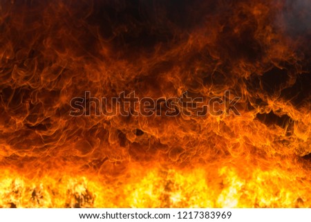 Firefighter and rescue training school regularly to get ready, Burning fire flame background