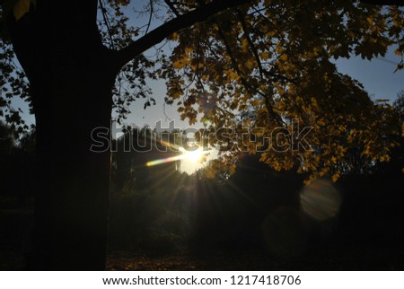 beautiful fall picture : the sun that sits gets through charming colorful autumn trees