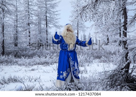 Christmas theme, sales, Happy  Santa Claus in a snowy forest, Santa on the background of a winter forest