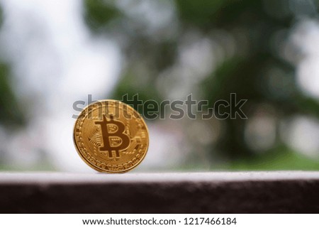 Bitcoin gold coin on table with greenery background, Bitcoin coin business concept. Bitcoin cryptocurrency. Bitcoin coin electronic money model. Selective Focus.