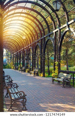 Beautiful alley with benches under wooden garden arch in public park. Landscape gardening design in park. Garden architecture decorative arch and stone pave