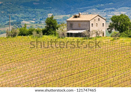 Farmhouse and Vineyard Landscape, Tuscany, Italy. Horizontal shot