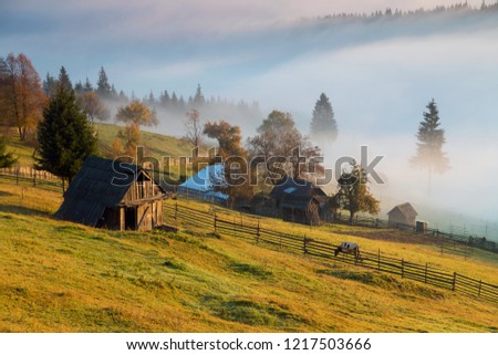 Foggy morning in Bucovina. Autumn colorful landscape in the romanian village Royalty-Free Stock Photo #1217503666