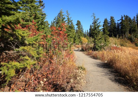 Hiking Trail at Mt Shuksan in Washington-USA 
