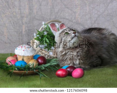 Easter card with grey cat in a rabbit costume